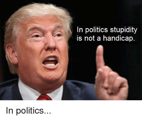 in-politics-stupidity-is-not-a-handicap-in-politics-16097394